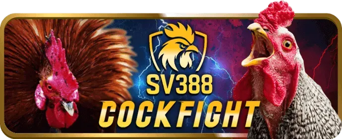 Hỗ trợ khách hàng rr99 casino
